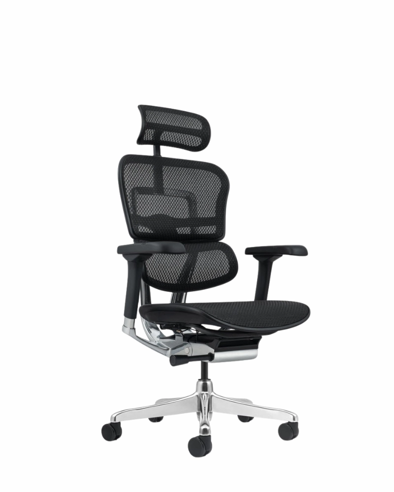 Fotoliu Ergohuman Elite 2 Black